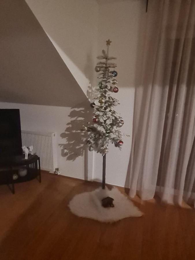 Kaj-Lux Daire Tuheljske Toplice Dış mekan fotoğraf